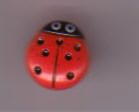redladybug button